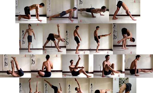 abs, workout, wellness, guidance, yoga, burn, calorie